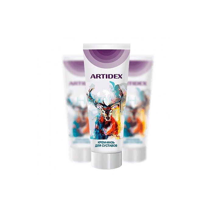 Artidex - cream-ointment for joints